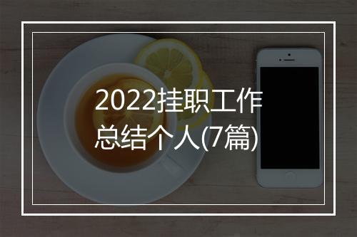 2022挂职工作总结个人(7篇)