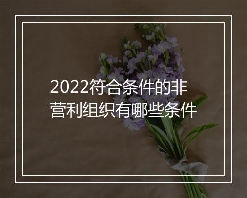 2022符合条件的非营利组织有哪些条件