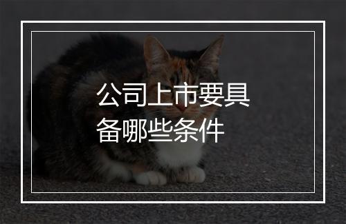 公司上市要具备哪些条件