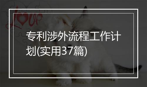 专利涉外流程工作计划(实用37篇)