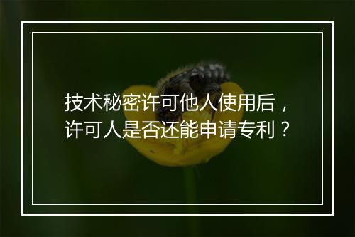 技术秘密许可他人使用后，许可人是否还能申请专利？