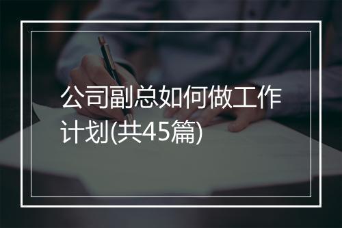 公司副总如何做工作计划(共45篇)