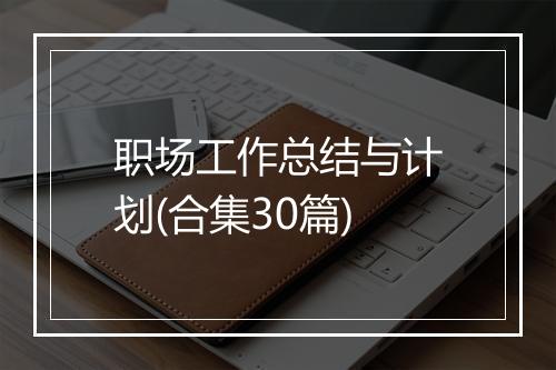 职场工作总结与计划(合集30篇)