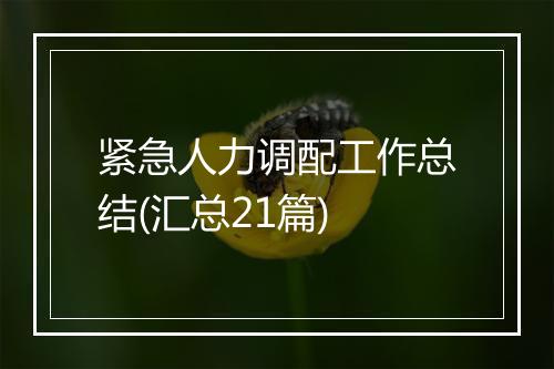 紧急人力调配工作总结(汇总21篇)