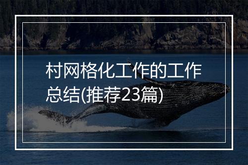 村网格化工作的工作总结(推荐23篇)