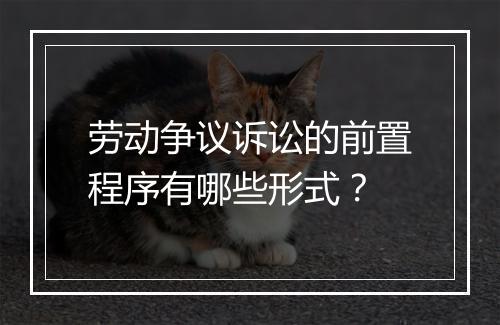 劳动争议诉讼的前置程序有哪些形式？