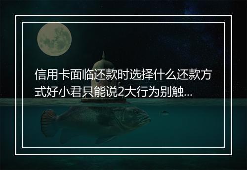 信用卡面临还款时选择什么还款方式好小君只能说2大行为别触碰
