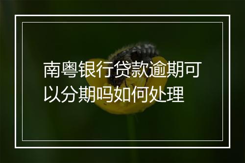 南粤银行贷款逾期可以分期吗如何处理