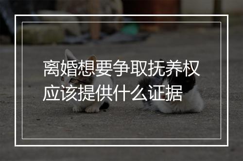 离婚想要争取抚养权应该提供什么证据
