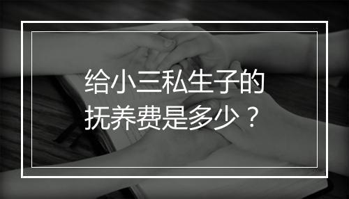 给小三私生子的抚养费是多少？