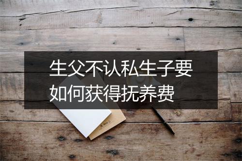 生父不认私生子要如何获得抚养费