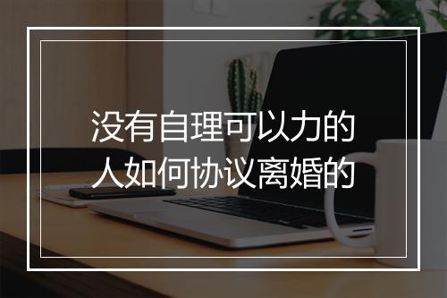没有自理可以力的人如何协议离婚的