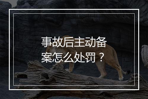 事故后主动备案怎么处罚？