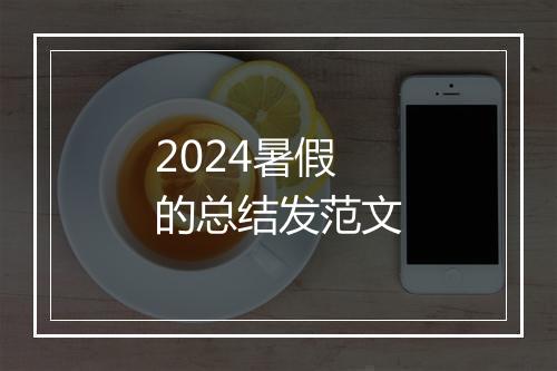 2024暑假的总结发范文