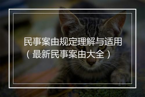 民事案由规定理解与适用（最新民事案由大全）