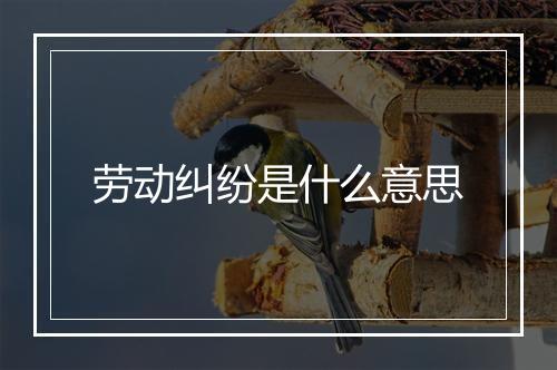 劳动纠纷是什么意思