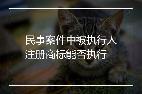 民事案件中被执行人注册商标能否执行