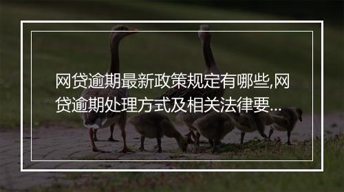 网贷逾期最新政策规定有哪些,网贷逾期处理方式及相关法律要求