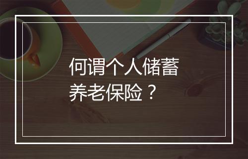 何谓个人储蓄养老保险？