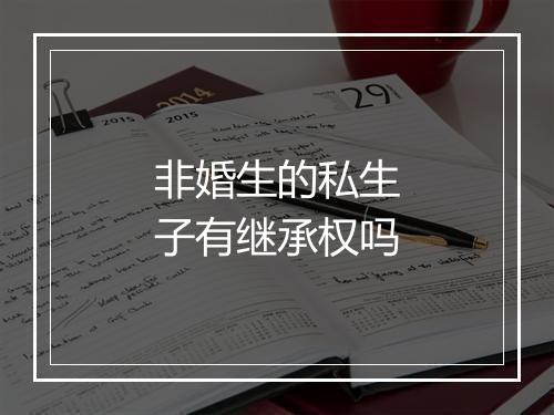非婚生的私生子有继承权吗
