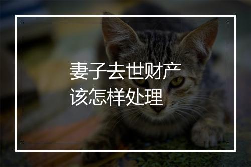 妻子去世财产该怎样处理