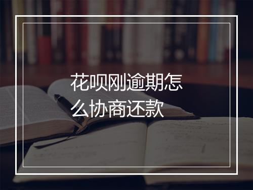 花呗刚逾期怎么协商还款