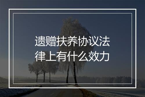 遗赠扶养协议法律上有什么效力