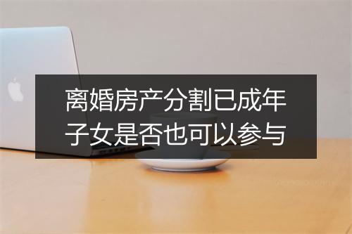 离婚房产分割已成年子女是否也可以参与