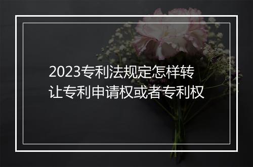 2023专利法规定怎样转让专利申请权或者专利权