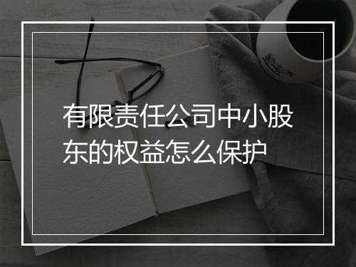 有限责任公司中小股东的权益怎么保护