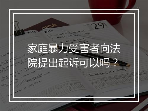 家庭暴力受害者向法院提出起诉可以吗？