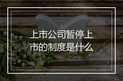 上市公司暂停上市的制度是什么