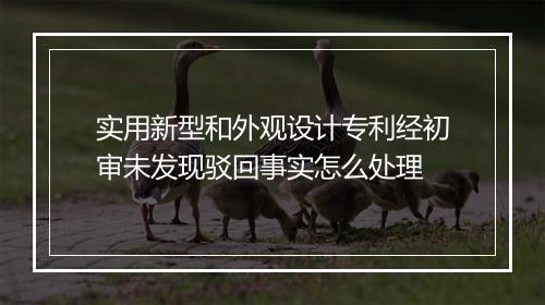 实用新型和外观设计专利经初审未发现驳回事实怎么处理