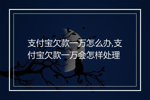 支付宝欠款一万怎么办,支付宝欠款一万会怎样处理