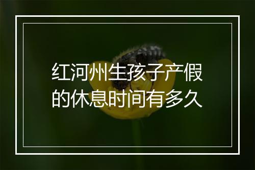 红河州生孩子产假的休息时间有多久