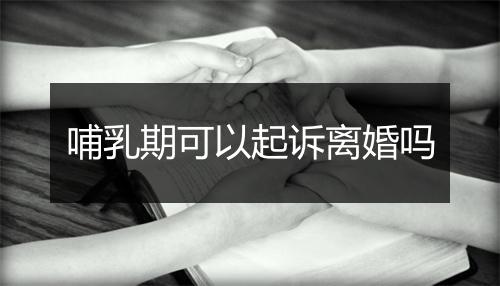 哺乳期可以起诉离婚吗