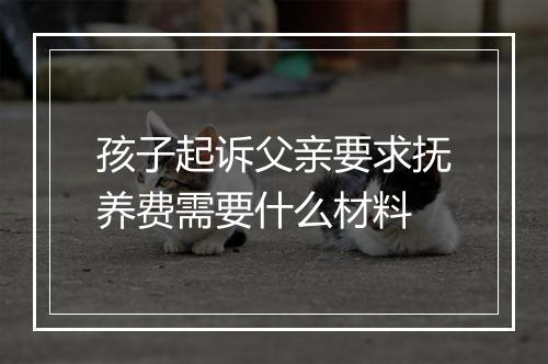 孩子起诉父亲要求抚养费需要什么材料