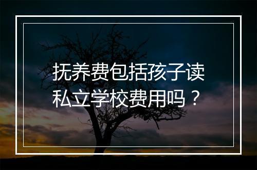 抚养费包括孩子读私立学校费用吗？