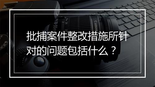 批捕案件整改措施所针对的问题包括什么？