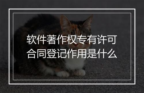 软件著作权专有许可合同登记作用是什么