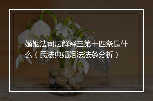 婚姻法司法解释三第十四条是什么（民法典婚姻法法条分析）