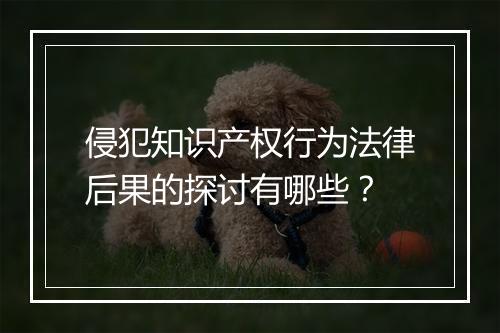 侵犯知识产权行为法律后果的探讨有哪些？