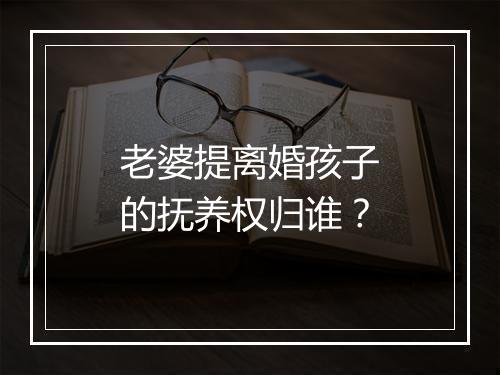 老婆提离婚孩子的抚养权归谁？