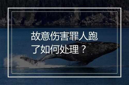 故意伤害罪人跑了如何处理？