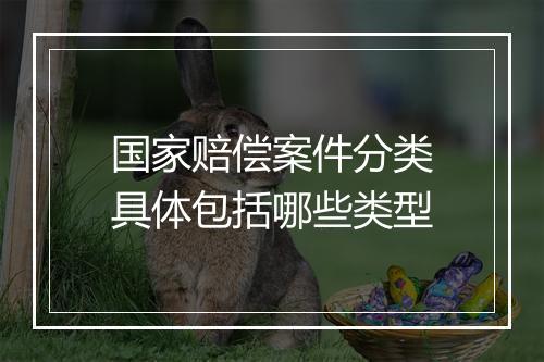 国家赔偿案件分类具体包括哪些类型
