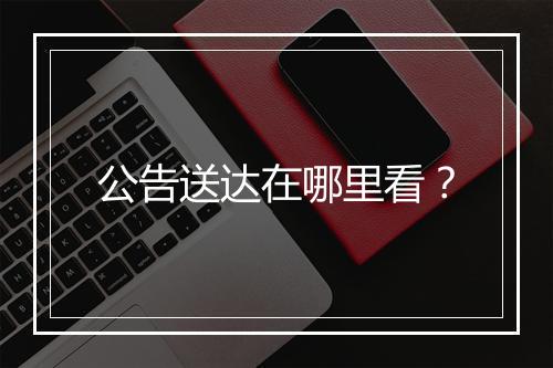 公告送达在哪里看？