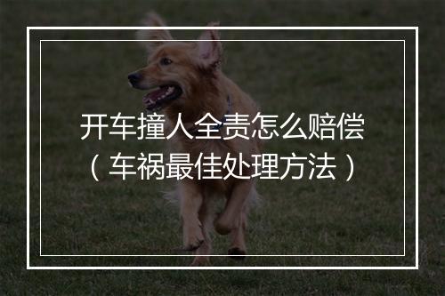 开车撞人全责怎么赔偿（车祸最佳处理方法）