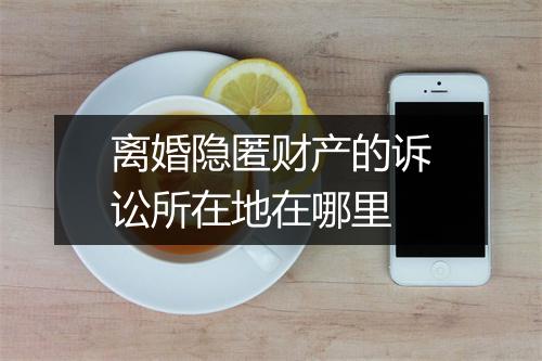 离婚隐匿财产的诉讼所在地在哪里