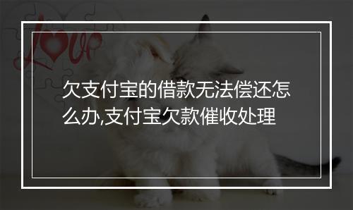 欠支付宝的借款无法偿还怎么办,支付宝欠款催收处理