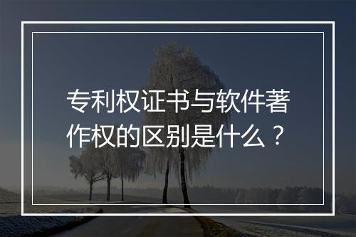 专利权证书与软件著作权的区别是什么？